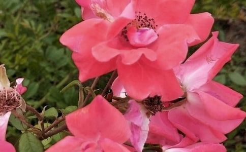 �������̰��������Ļ���