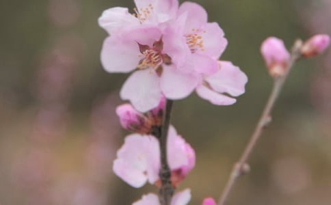 �����䡷�̰�15ƪ