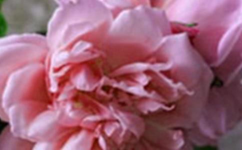 ��������̰��������Ļ��䡷