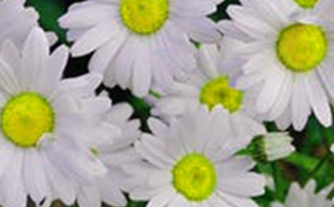 �����䡷�̰�