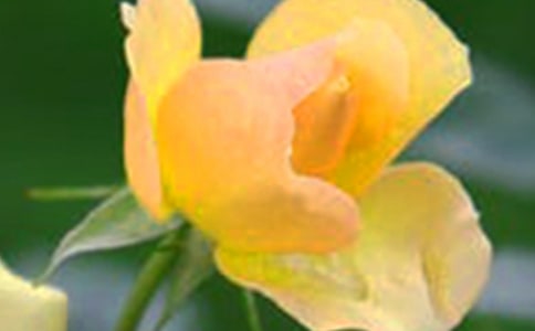 ��������ʷ����ȫ�Ļ���