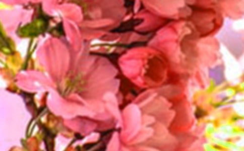 �а�����Ư���Ļ���̰�