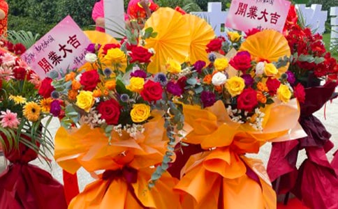 �໨���̰�(15ƪ)