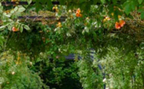 花园绿化养护协议