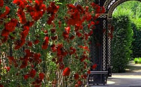 �����˵Ļ�԰������̰�