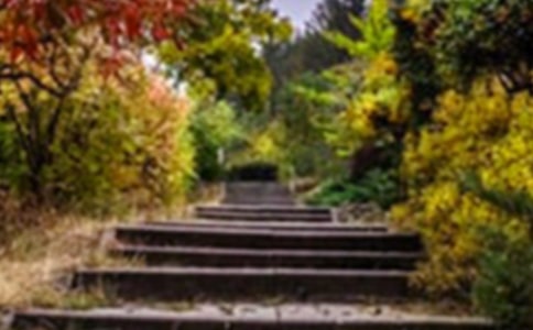 �����˵Ļ�԰���Ľ̰�