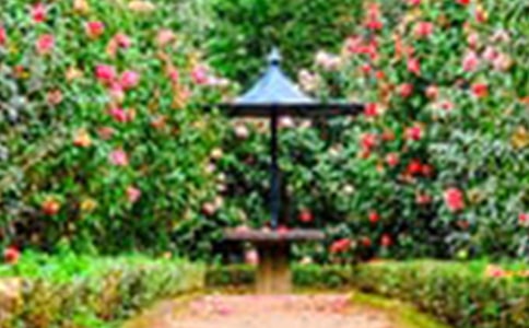 �����˵Ļ�԰����ѧ�̰�