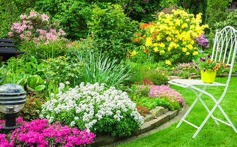 我家的大花园教案