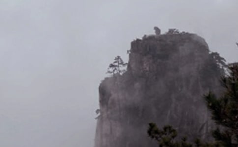 ��ɽ����Ұ��ʵϰ���챨��