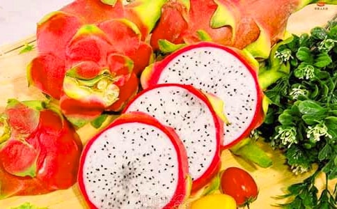 火龙果早结丰产栽培技术