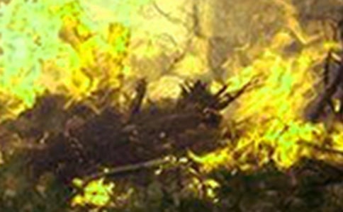 �����䡿Ԥ�����ֵ�Ӧ����ʩ