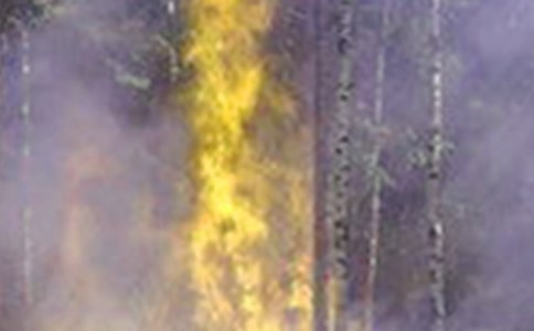 �������ֲ���������