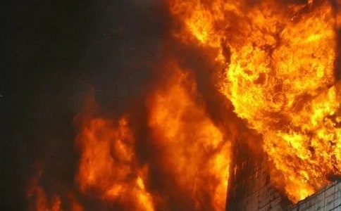 森林火灾案件查处情况汇报(精选16篇)