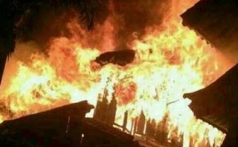 ɭ�ֻ��ְ����鴦����㱨�ϼ�10ƪ