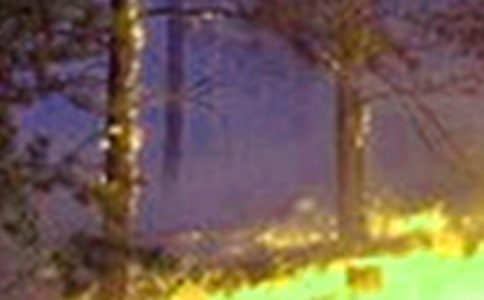 Ԥ�����ֵ�Ӧ����ʩ8ƪ