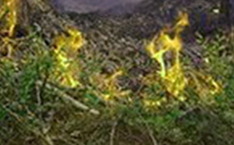 推荐预防火灾的应急措施