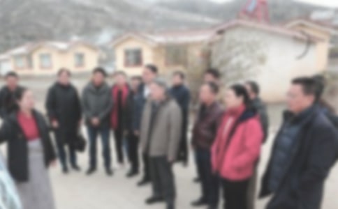 ����ɲ�ֵ���ƶ�