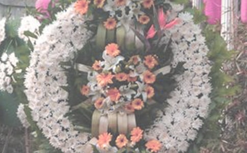 ���ϼ���Ӣ�һ����