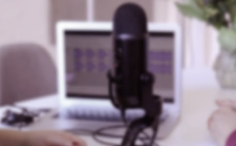 �����»�������