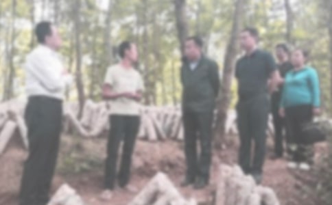 �ͼ��ŷù��������ƶ�