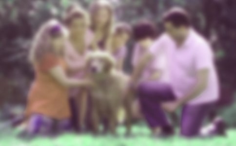 ��ͥ���������ε��ĵ���᷶��