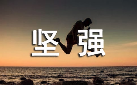 ��ǿ����¼