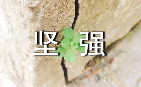 ��ǿ��¼40�侫ѡ