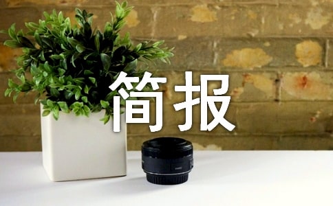 安监局三严三实简报