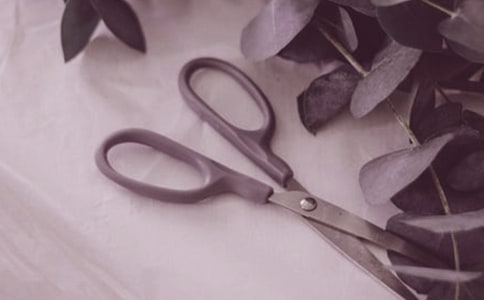 ���´����Ƽ�������