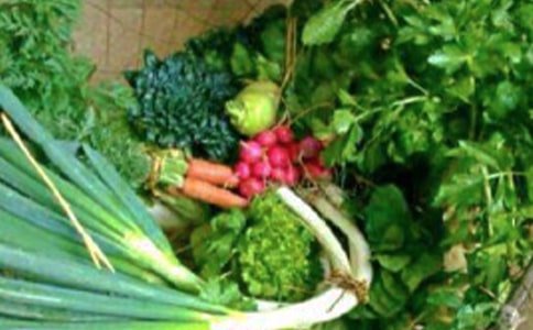 ������ѧ��̰�����˼