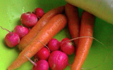 健康村建设工作实施方案(精选14篇)