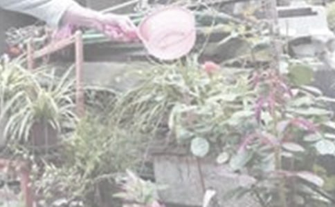 �������ս����ļ���