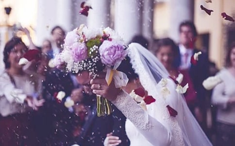 ���������ɸ�ĸ�ش�