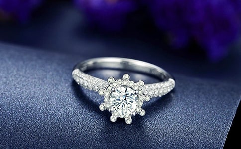 ��ָ�Ĵ���������