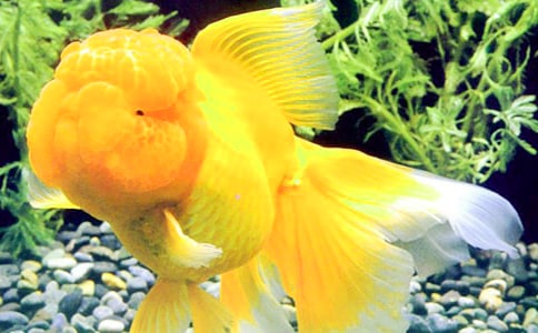 ������Ľ̰�