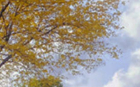 ���������ĳ��ﾰɫ�ռǣ�ͨ��60ƪ��