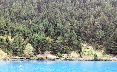 《九寨沟》教案(集合15篇)