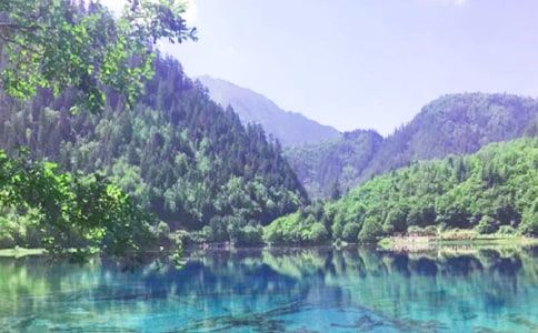 ��կ���Ľ̰�15ƪ