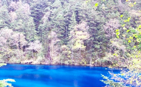 《九寨沟》教案15篇