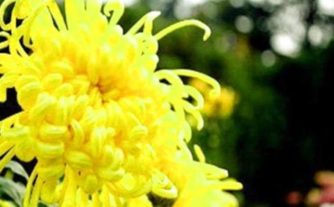 �ջ�����ʲô����_�ջ���ʲô����