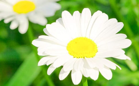 ���ջ���俪���̰�