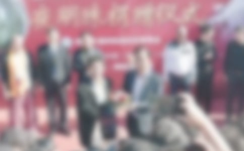 ������ʽ������