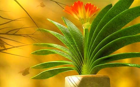 �������Ļ���ʹ�˵�ֱ���ʲô