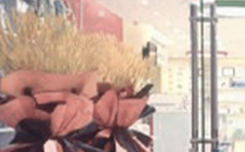 IT�콢�꿪ҵ��ƹ���