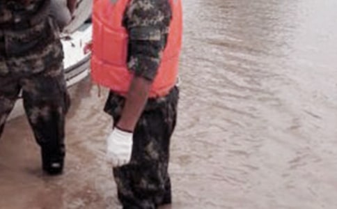 ���鿹��Ӧ��Ԥ�����ģ�ͨ��5ƪ��