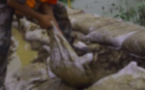 抗洪救灾应急预案怎么写