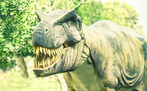 飞向蓝天的恐龙教案精选15篇