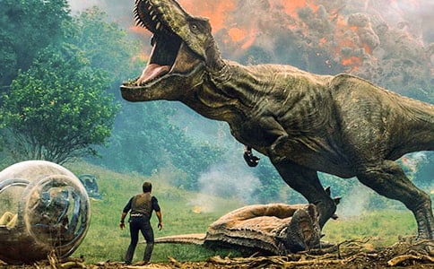 怕冷的大恐龙活动反思