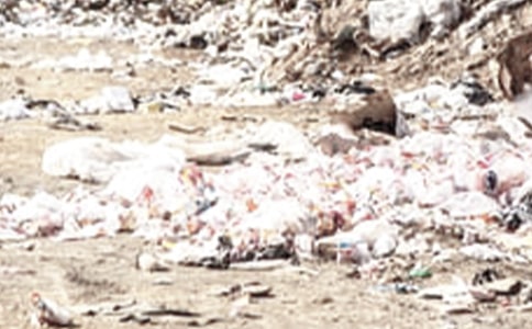 捡垃圾义工活动总结