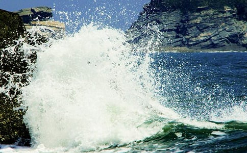 �����˻����̰�9ƪ